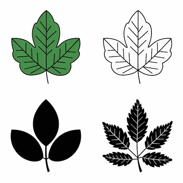 un grupo de hojas verdes y una hoja que dice "hoja"
