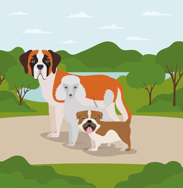 Vector grupo de perros mascotas en el campamento personajes