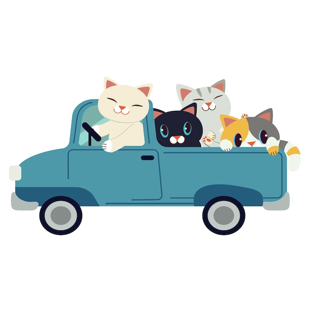 El grupo de personajes lindo gato conduciendo un coche azul. el gato que conduce un coche azul en el fondo blanco.