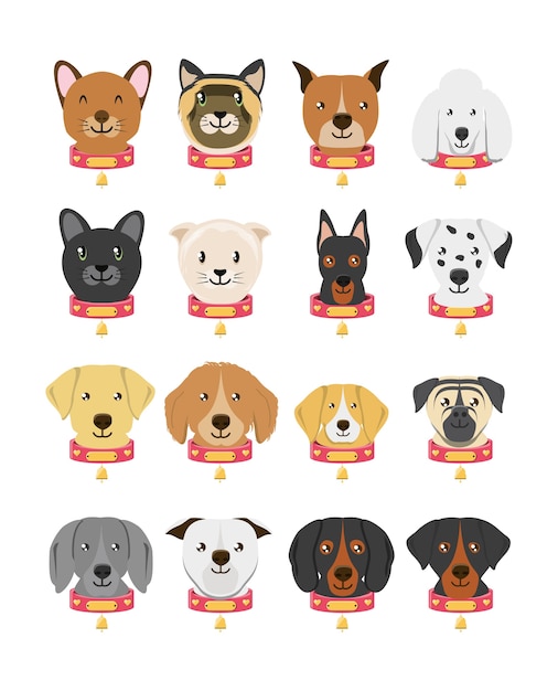 Vector grupo de razas de perros y gato