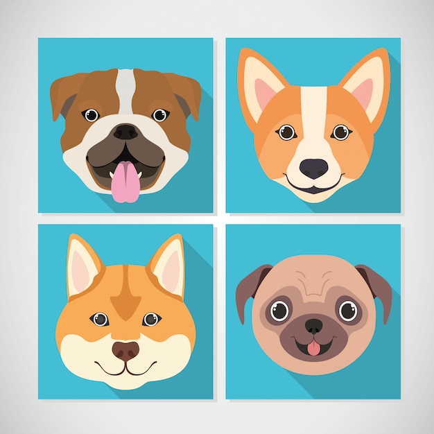 Vector grupo de razas de perros