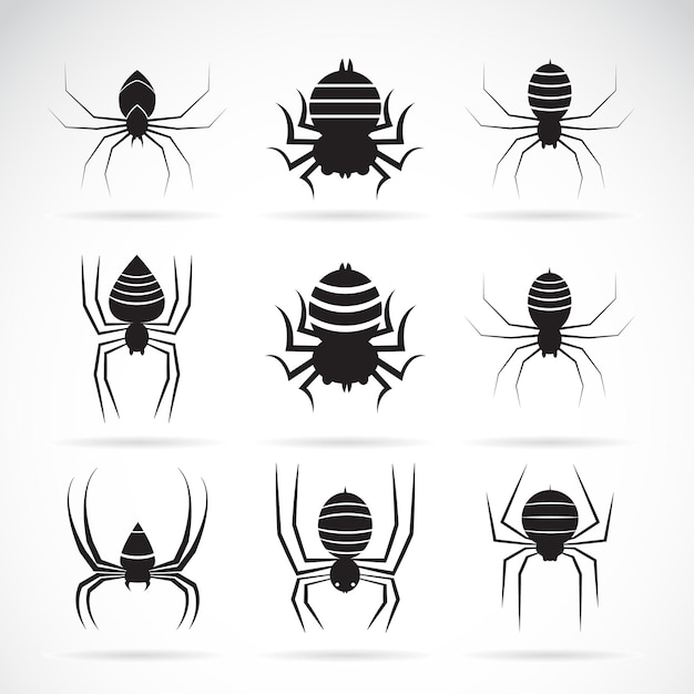 Grupo de vector de arañas sobre fondo blanco. Animales Insectos. Icono de arañas.