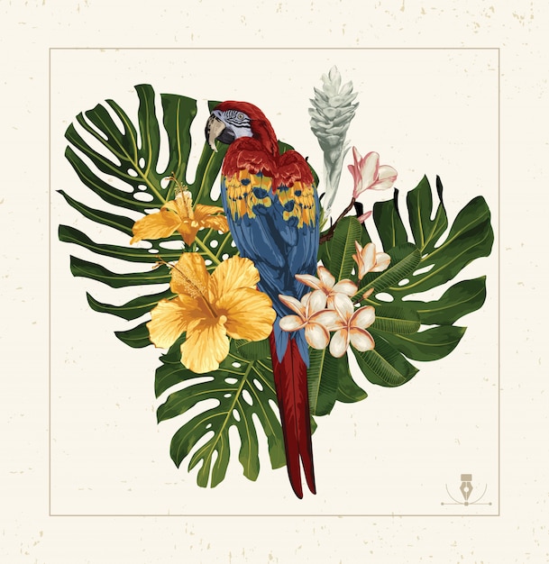 Vector guacamaya roja y flores tropicales