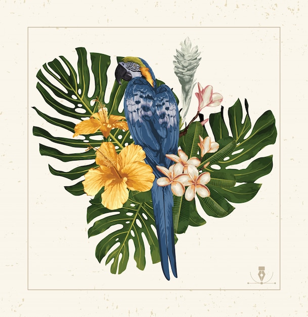 Vector guacamayo azul y amarillo y flores tropicales