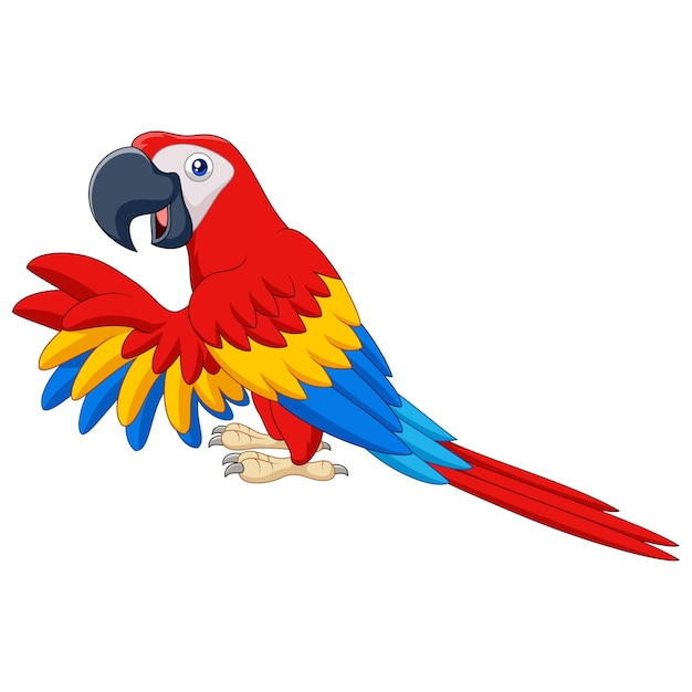 Guacamayo divertido de dibujos animados aislado sobre fondo blanco