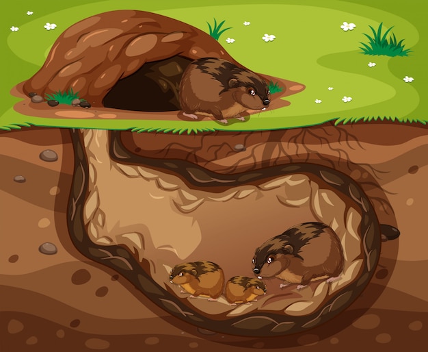 Vector guinea pig family living underground