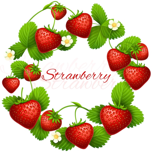 Guirnalda de marco de fresa jugosa. Postre de la salud que come el fondo de las fresas.