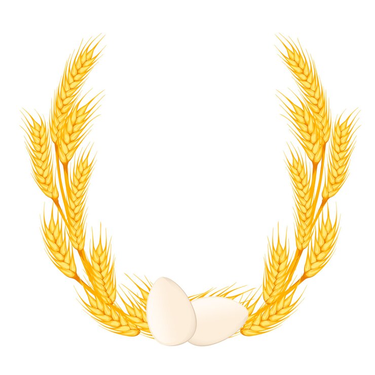 Vector guirnalda de trigo dorado con dos huevos de gallina blanca ilustración vectorial plana sobre fondo blanco.