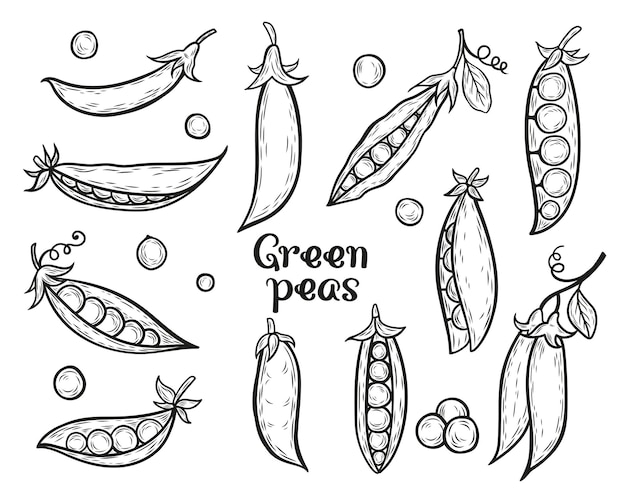 Con guisantes verdes