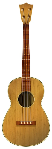 Una guitarra