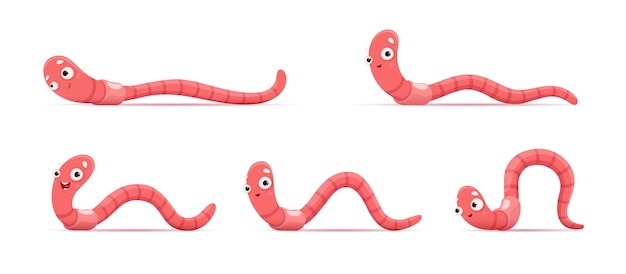 Gusano divertido de dibujos animados Animación de lombriz de tierra de rastreo