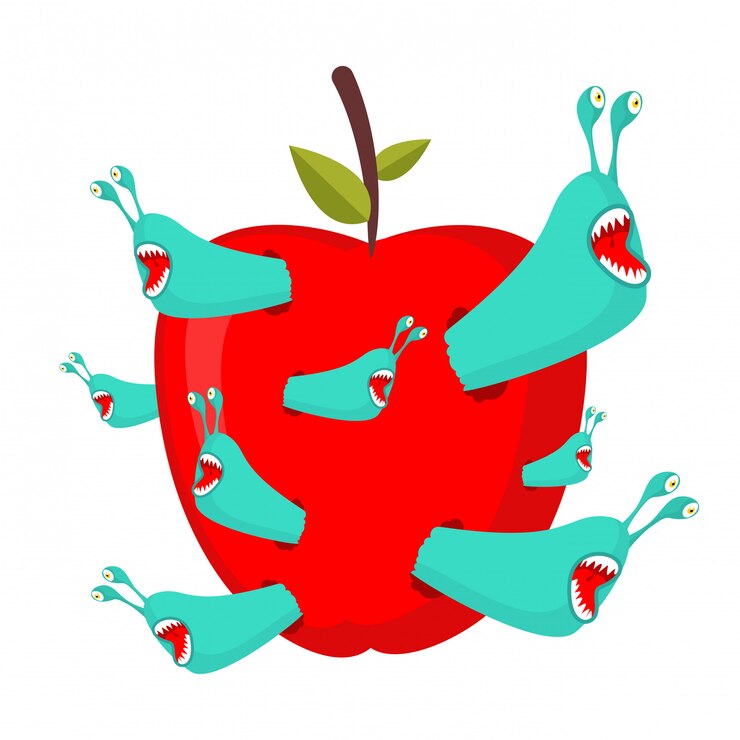 Los gusanos comen manzana roja.