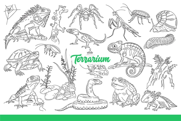 Habitantes de un terrario con serpientes y lagartos o reptiles arrastrándose a lo largo de las ramas dibujados a mano