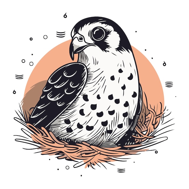 Vector halcón peregrino en un nido ilustración vectorial