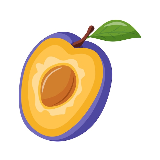 Half of plum Organic plums for juice smoothie or vitamin healthy food and dessert Vector icon on white background