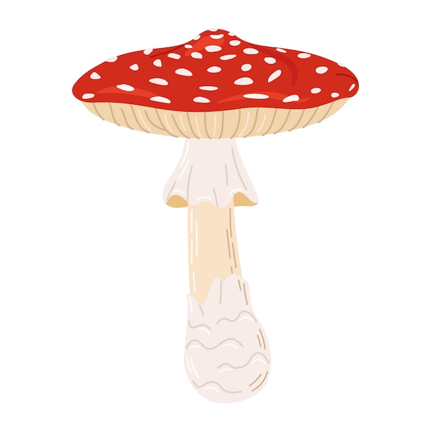 Hamburgo agarico de mosca dibujado a mano estilo plano de moda hongo mágico aislado en blanco