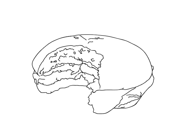Hamburguesa con tocino sésamo chuleta comida comida rápida doodle dibujos animados lineales para colorear