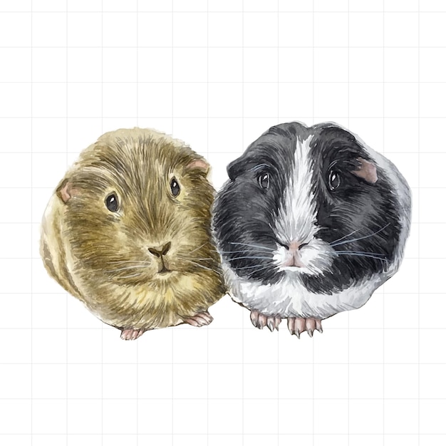 Vector hamster pintado en acuarela sobre un fondo blanco