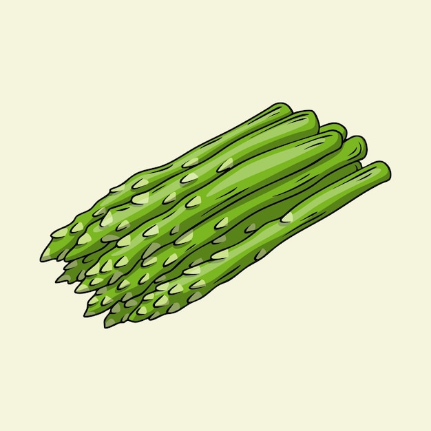 Handdrawn asparagus spears ready for cooking