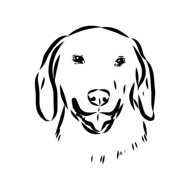Happy American Foxhound es un perro espiador retrato de Foxhound ilustración vectorial en blanco y negro