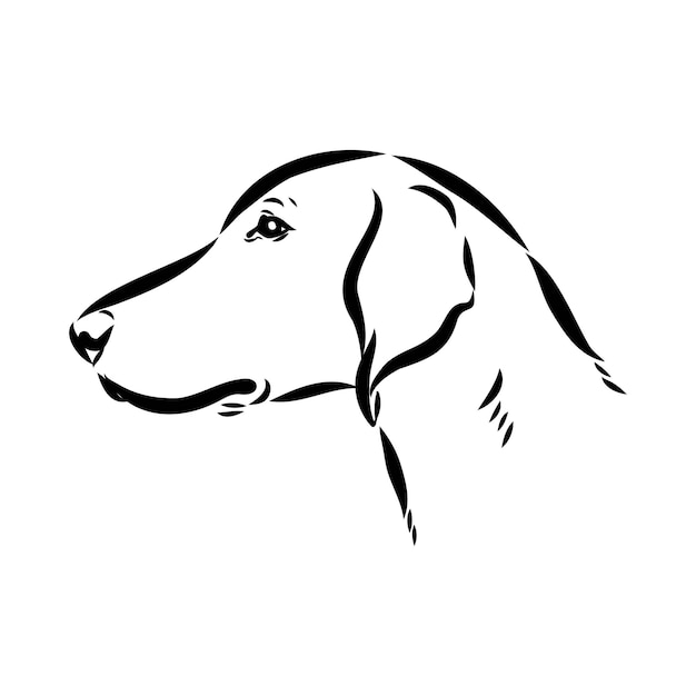 Happy American Foxhound es un perro espiador retrato de Foxhound ilustración vectorial en blanco y negro