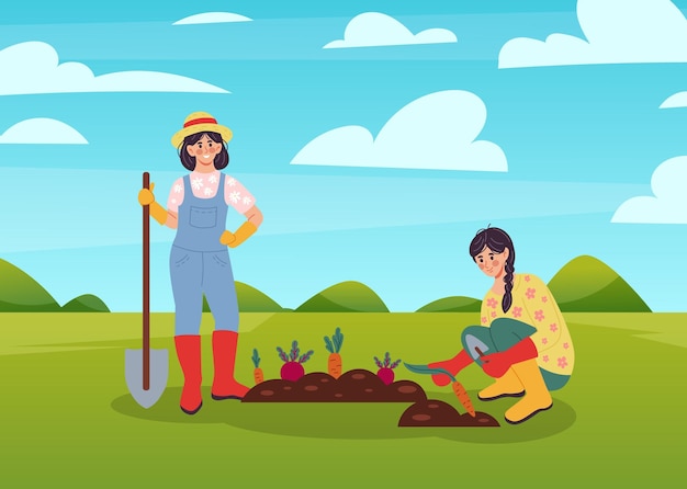 Happy farmer Women harvesting carrots or beets Girl with shovel Horticulture work Agriculture workers growing vegetables at seedbed Agrarian digging soil Vector countryside scene