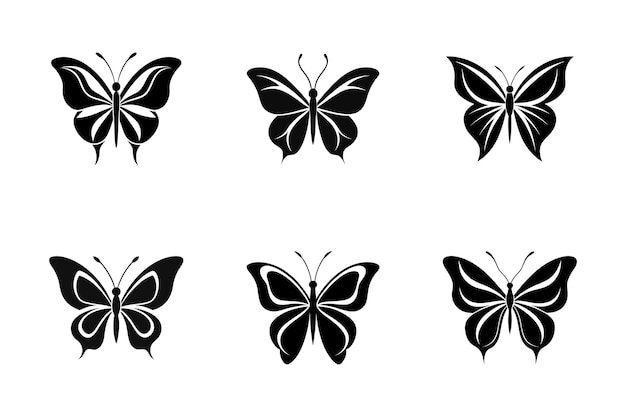 El haz vectorial de la mariposa Shihoutte