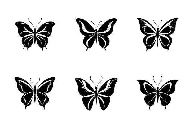 El haz vectorial de la mariposa Shihoutte