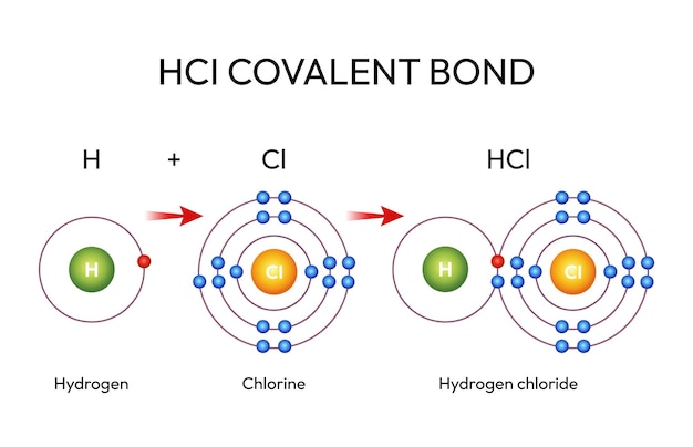 HCl Formación de enlaces covalentes El hidrógeno y el cloro reaccionan para formar cloruro de hidrógeno