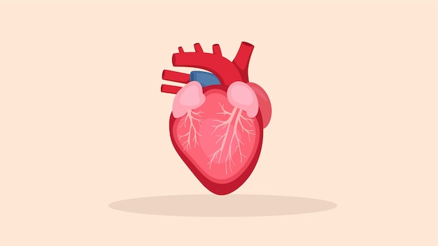 heart vector illustration flat design