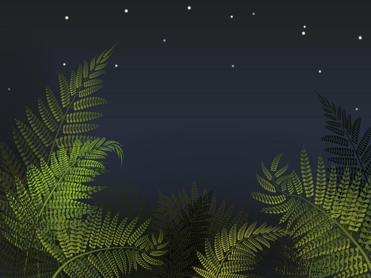 Vector helecho forestal con ilustración de vector de cielo nocturno fondo de nueva zelanda