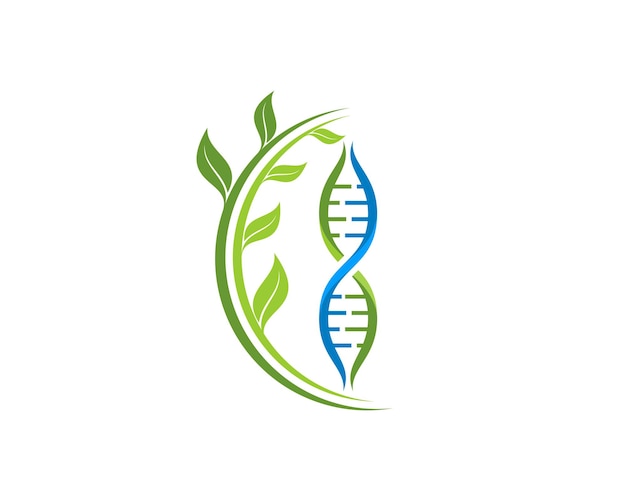 Hélice de ADN con hoja natural al lado