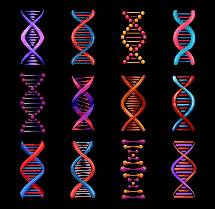 Vector hélice de adn iconos aislados medicina genética