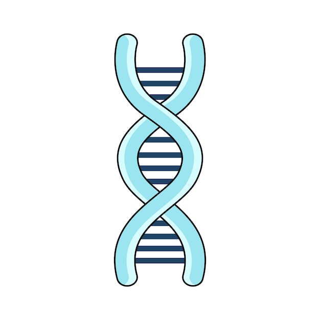 Hélice de ADN