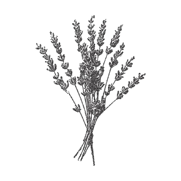 Herbario vectorial de moda efecto de fotocopia retro Modernos puntos puntiagudos textura para el diseño de arte y2k collage flor silvestre