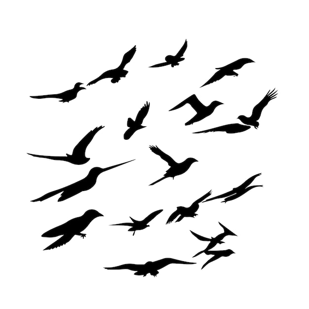 Vector una hermosa bandada de aves voladoras silueta obra de arte vectorial