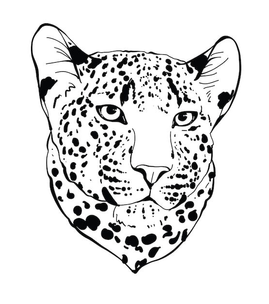 Hermosa cabeza de leopardo en vector amarillo naranja color gato grande animal salvaje de la sabana