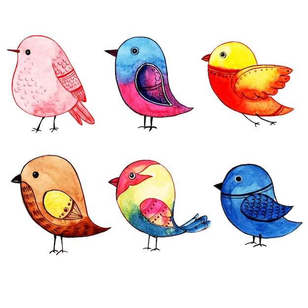 Hermosa colección de acuarela de aves exóticas