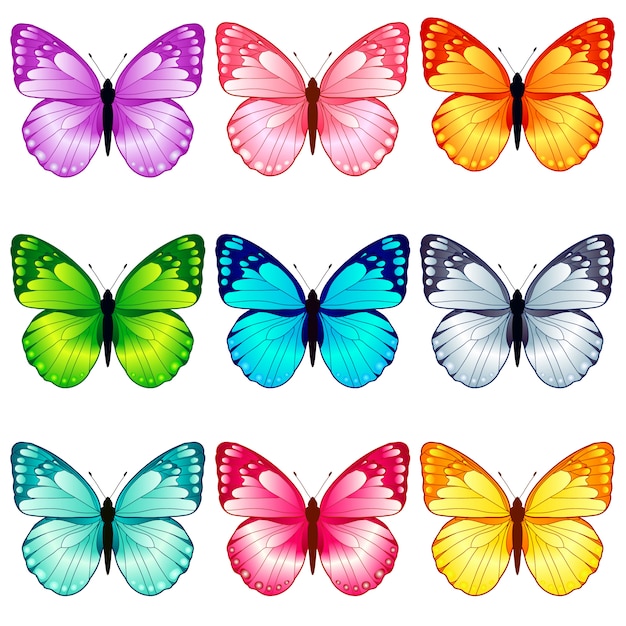 Hermosa colección de mariposas, 9 colores.