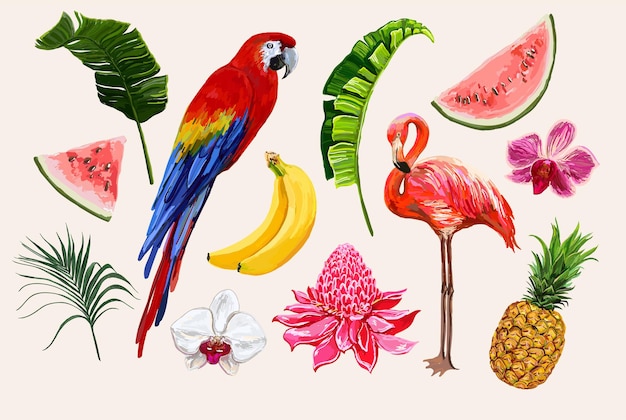 Vector hermosa colección tropical dibujada a mano con hojas tropicales loro flamenco piña plátano