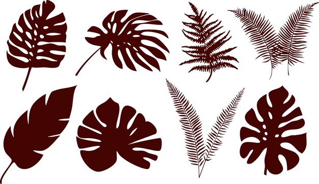 Una hermosa colección vectorial de hojas decorativas en varias formas y estilos perfectas para la naturaleza
