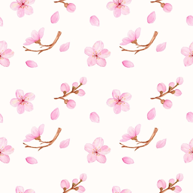Hermosa flor de cerezo acuarela o sakura como patrón sin fisuras.