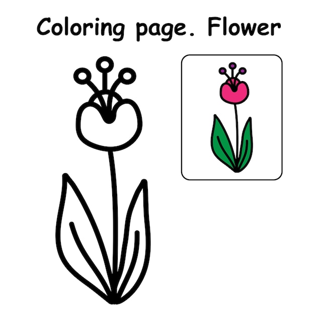 Hermosa flor colorida para colorear, el libro para colorear para niños en edad preescolar