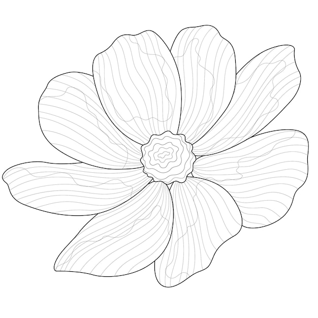 Hermosa flor libro de colorear antiestrés para niños y adultos. estilo zen-enredo dibujo en blanco y negro