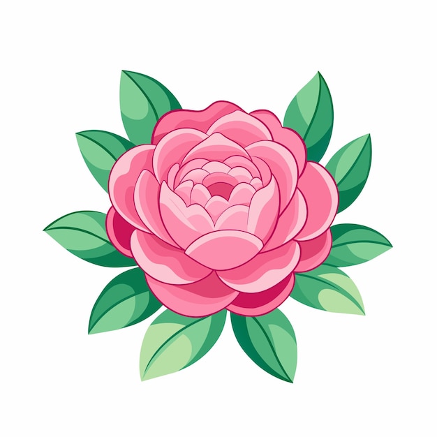 Vector hermosa flor de peonía rosa para la decoración sobre un fondo blanco
