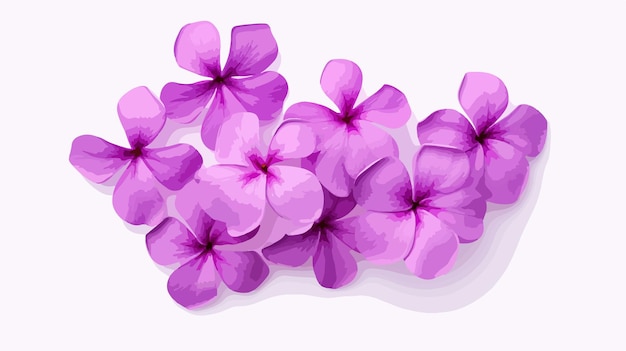 La hermosa flor de la pervinca Catharanthus es una imagen botánica de primer plano