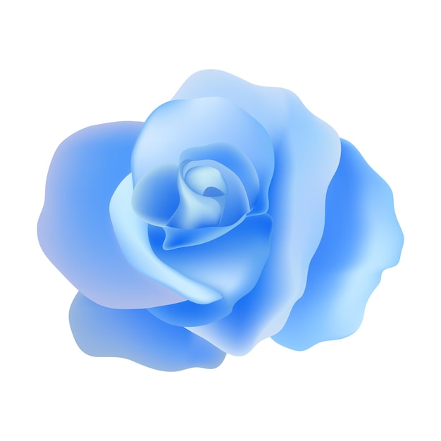 Una hermosa ilustración aislada de una rosa en blanco