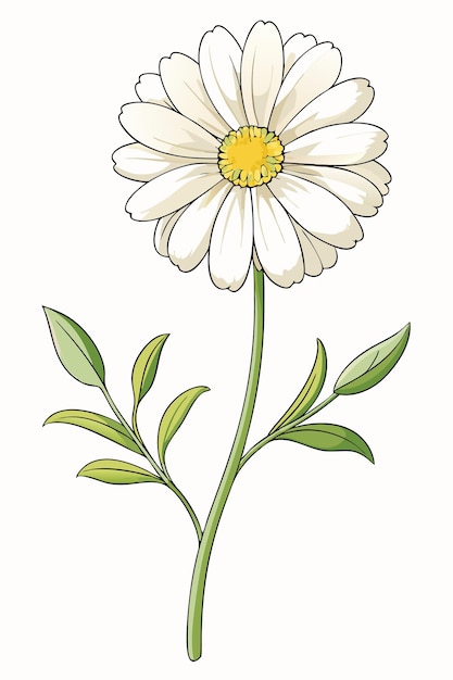 hermosa ilustración colorida de la flor de la coreopsis