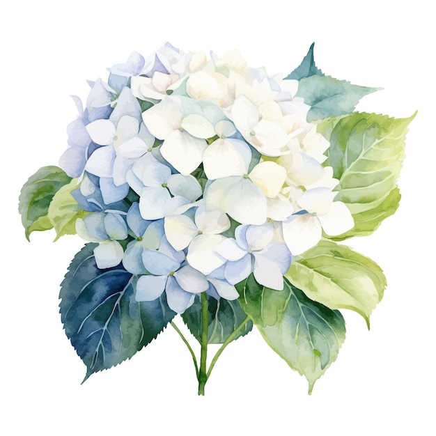 Hermosa ilustración floral acuarela con imágenes prediseñadas de plantas dibujadas a mano