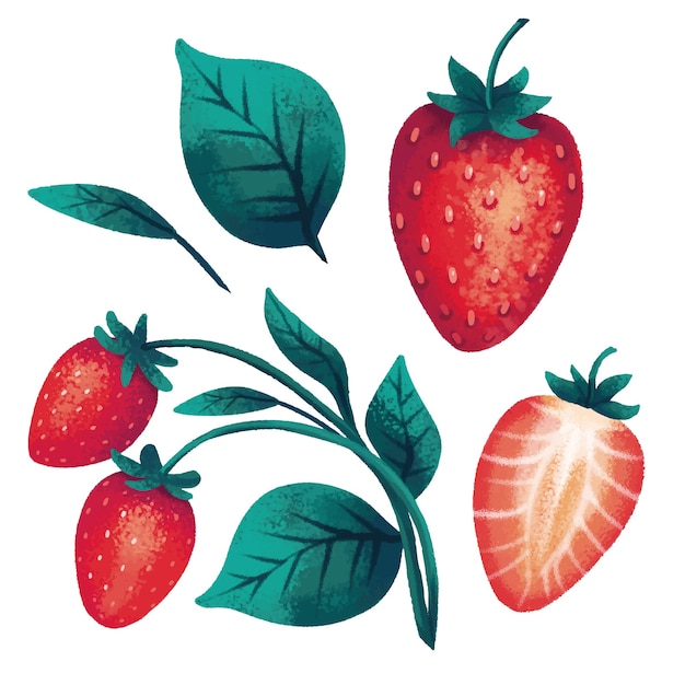 Hermosa ilustración de fresas y hojas de jardín en un diseño moderno